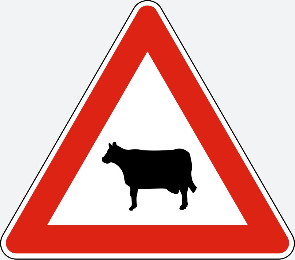 Upright white triangle with a red border; a black cow silhouette facing left.