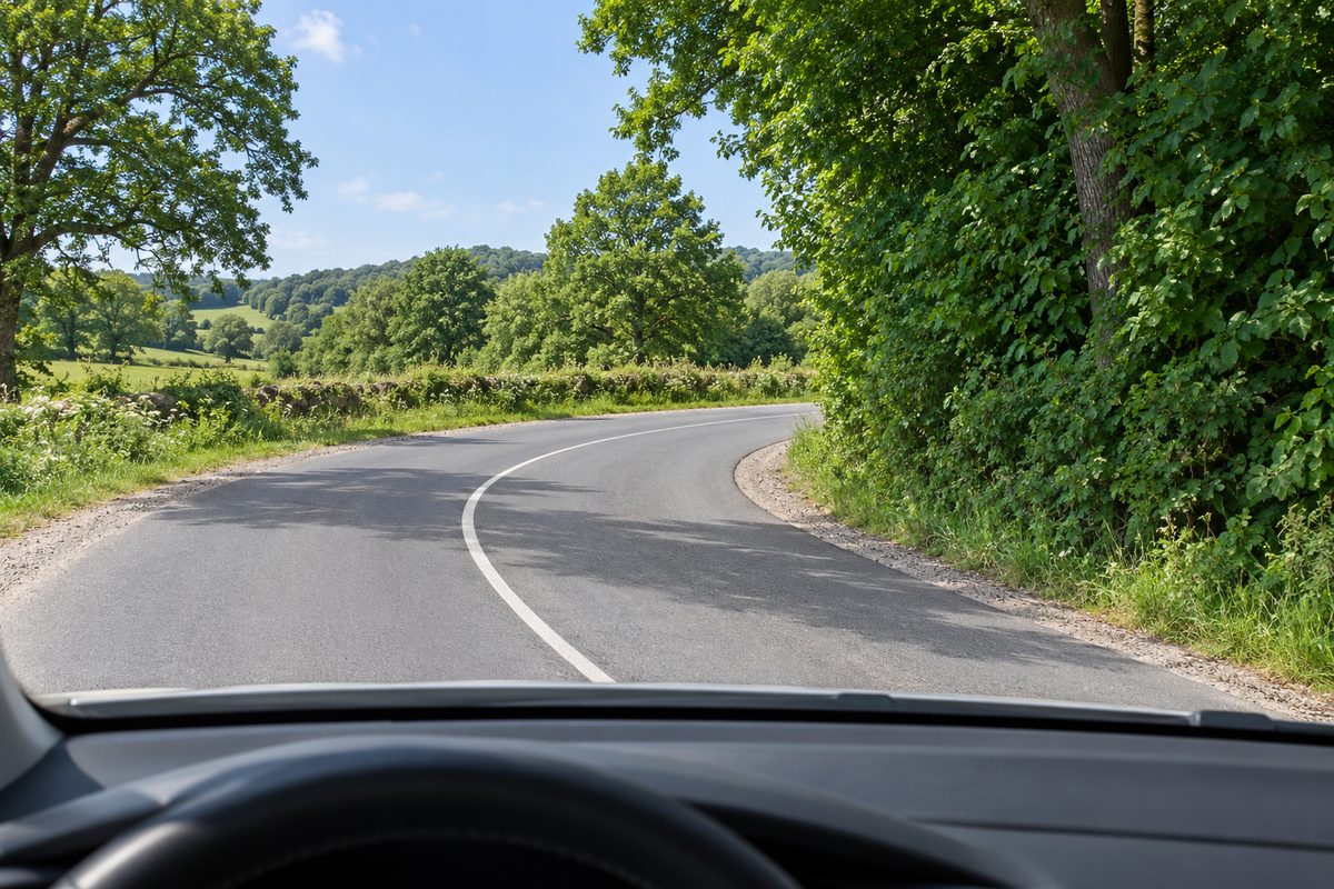 Road bending right behind roadside trees.